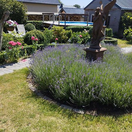 Braunlauf B&B Oase מראה חיצוני תמונה