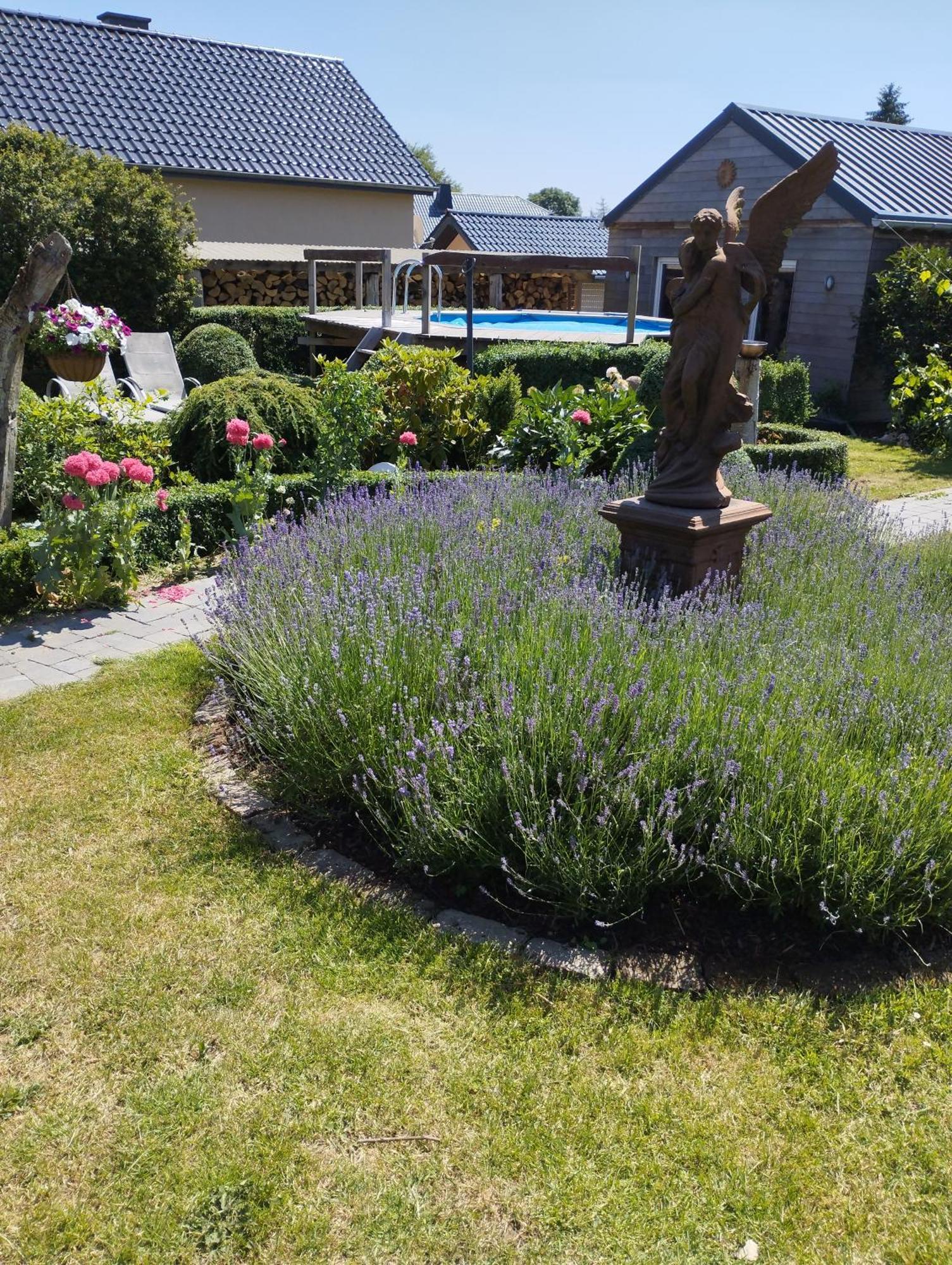 Braunlauf B&B Oase מראה חיצוני תמונה
