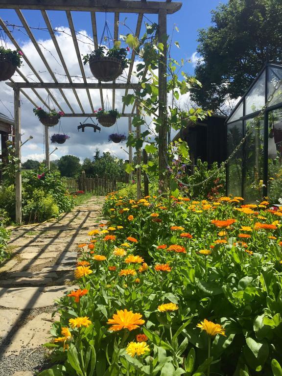 Braunlauf B&B Oase מראה חיצוני תמונה